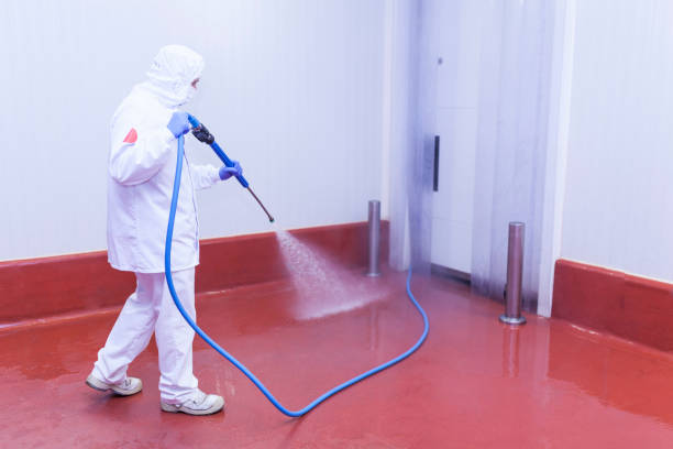 Professional Pressure Washing Services in Falls Creek, PA